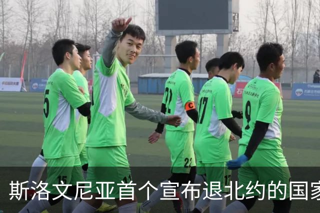 斯洛文尼亚首个宣布退北约的国家，引发广泛关注